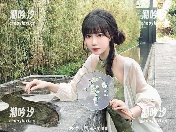 “大肉丸Amiee的黑丝大作战——全集等你来下载，谁说不是一场战斗”？