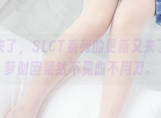 来了来了，SLCT系列的更新又来了，森萝财团果然不见血不用刀。