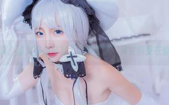 最新写真：猫九酱办公室“辛勤工作”其实都是在偷懒吧？
