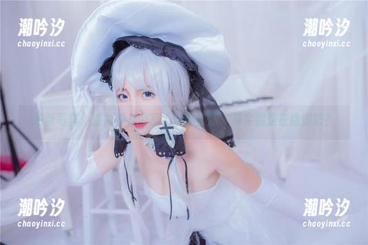 最新写真：猫九酱办公室“辛勤工作”其实都是在偷懒吧？